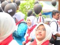 Tn 227 DSC 3129